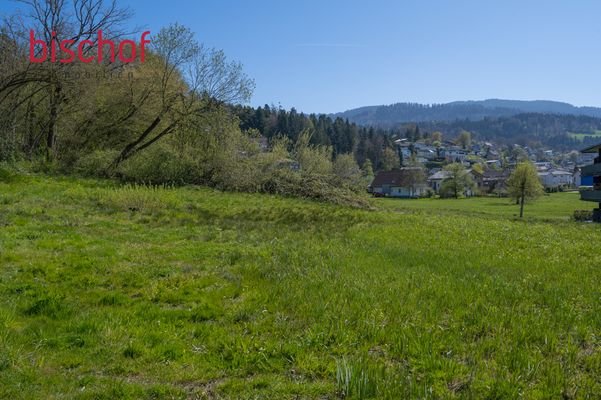 _DSC3410