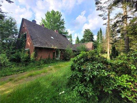 Apen Häuser, Apen Haus kaufen