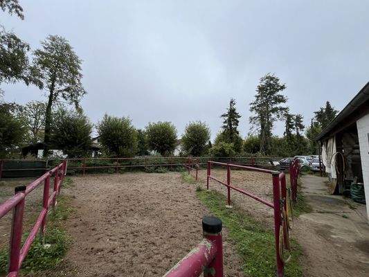 weiterer Blick auf Auslauffläche