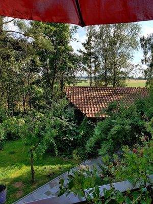 Blick von der Südwest-Terrasse