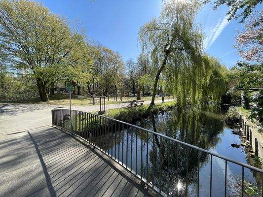 Blick in den Stadtpark