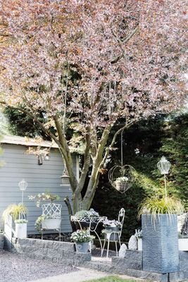 Gartenimpression 