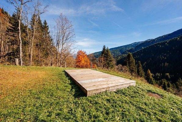 20251031-DSC05271-SJ Photography (Selina Jakob)