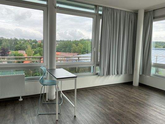 308 Fensterfront.jpg