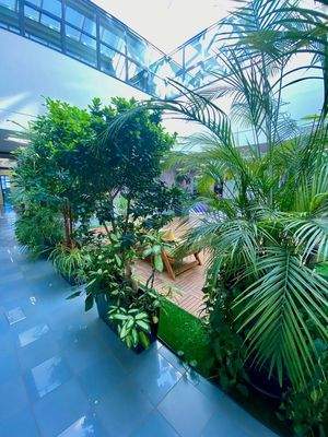 kleines-Büro-zu-vermieten-affittasi-piccolo-ufficio-Bozen-Bolzano