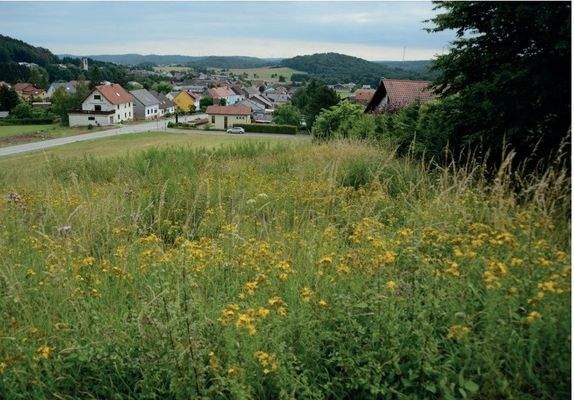 Blick aus SW-Richtung