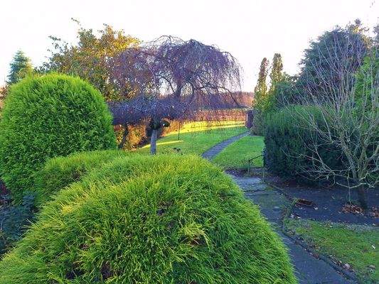 langgestreckter Garten mit Blick ins Freie