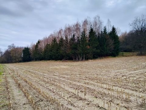 Pfeffenhausen Bauernhöfe, Landwirtschaft, Pfeffenhausen Forstwirtschaft