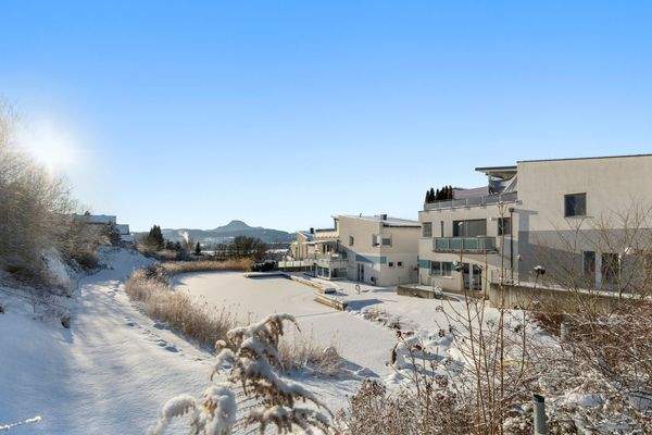 Löwen-Immobilien-Gartenwohnung-Anlegerwohnung-Eig