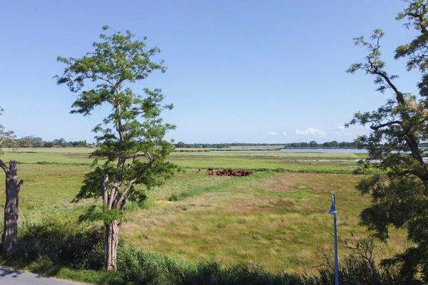 Aussicht auf die Salzwiesen