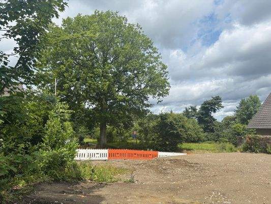 Grundstück - Bild 4.jpg