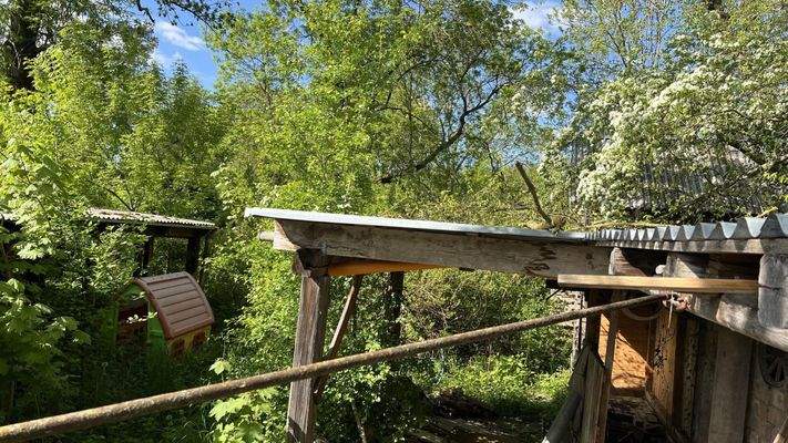 alte Bausubstanz Ställe, Wildwuchs, alter Baumbestand