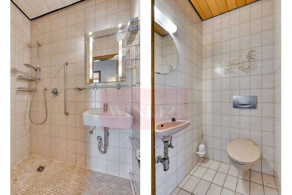 Detailansicht der getrennten Dusche / WC im Erdgeschoss