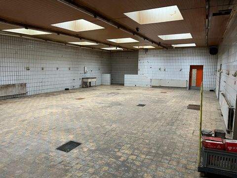 Hagen Halle, Hagen Hallenfläche