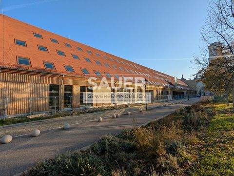 Potsdam Büros, Büroräume, Büroflächen 