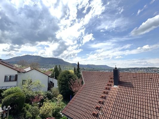 Ausblick