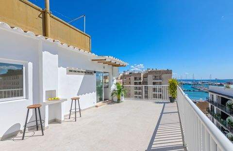 Palma Wohnungen, Palma Wohnung kaufen