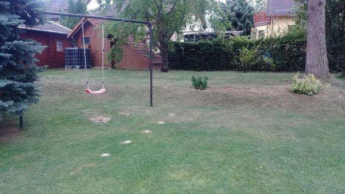 Kirschbäume und Schaukel