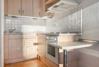 gepflegte Einbauküche