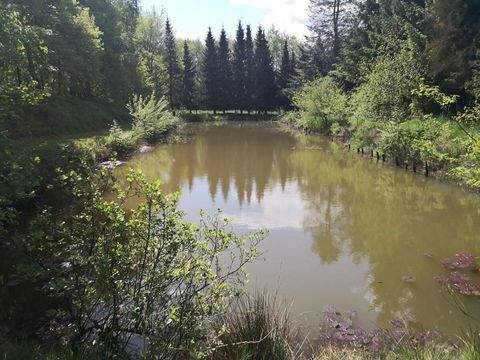 Lähden / Holte Bauernhöfe, Landwirtschaft, Lähden / Holte Forstwirtschaft