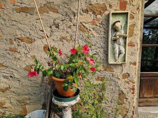 74LAzienda_ agricola_Toskana.jpg