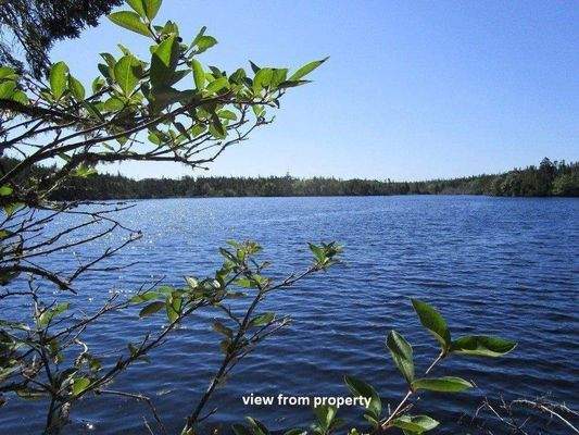Am Seeufer - Blick vom Grundstück