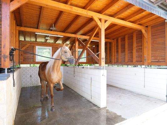 Wasch- und Putzplatz