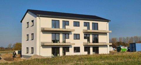 Stralsund Wohnungen, Stralsund Wohnung mieten