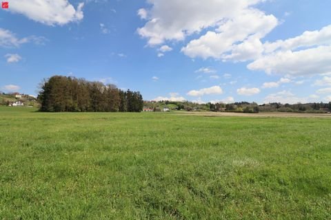 Attendorf Grundstücke, Attendorf Grundstück kaufen