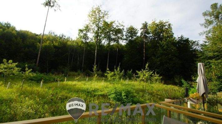 18 Balkon Waldblick ETW 3004