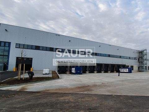 Berlin Halle, Berlin Hallenfläche