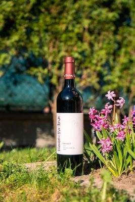 Kopie souboru neronet 2021.jpg