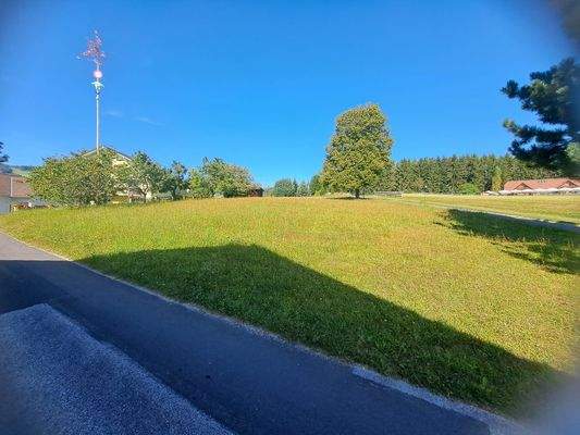 WhatsApp Bild 2023-09-17 um 15.53.11 12.jpg