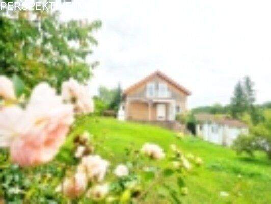 Gartenseits mit Rosen