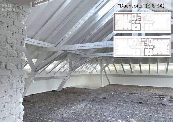 Dachspitz Grundriss ME 6_6A