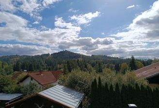 Blick aus dem Wintergarten