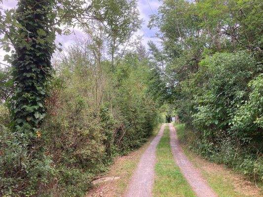 Zuweg zum Grundstück