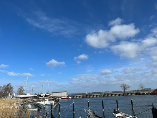 IMG_7028