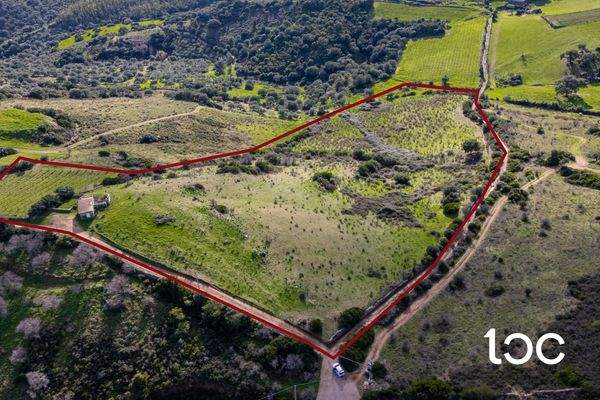 TERR. AGRICOLO-7.jpg