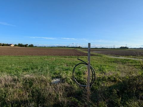 Oberding Grundstücke, Oberding Grundstück kaufen