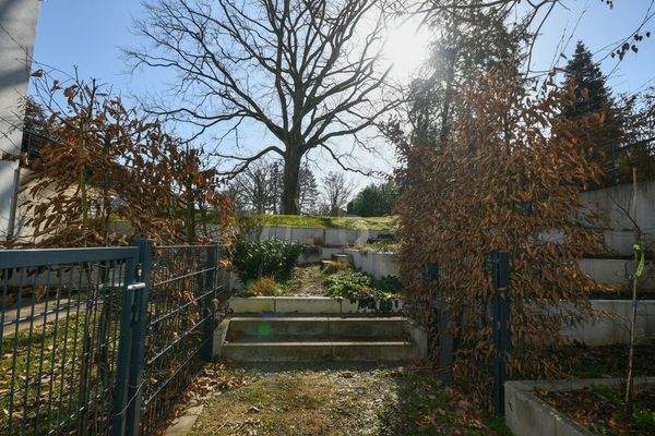 Seltener Gemeinschaftsgarten