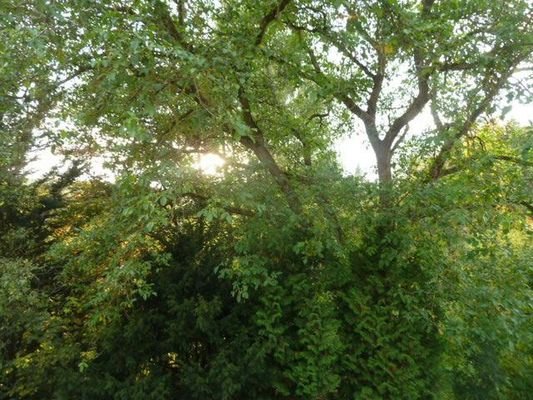 Fensterblick Westen