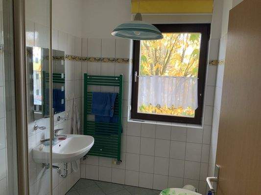 Duschbad Erdgeschoss