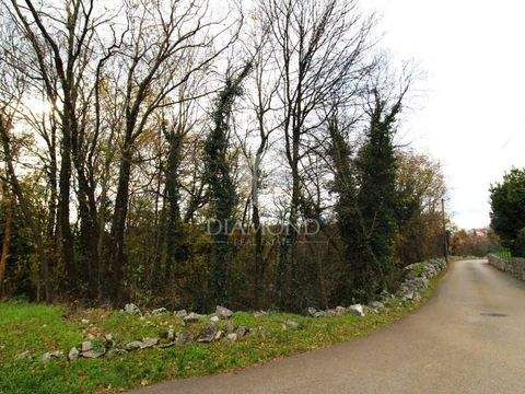 Cavle Bauernhöfe, Landwirtschaft, Cavle Forstwirtschaft