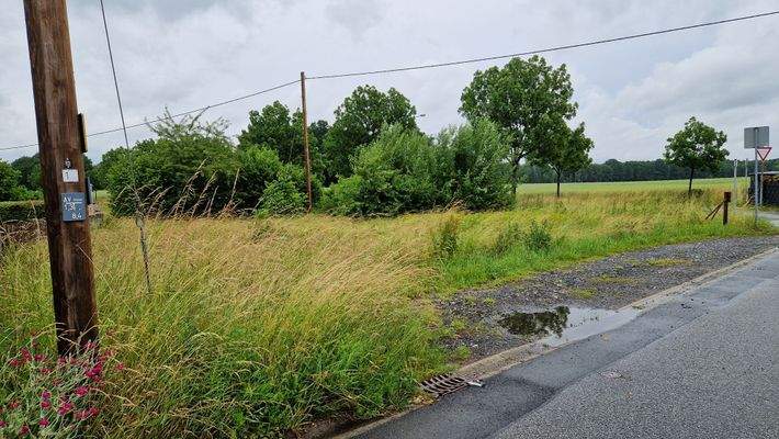 Baugrundstück mit ca 480 m² Größe.jpg