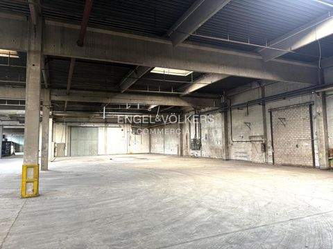 Berlin Halle, Berlin Hallenfläche