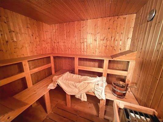 die Sauna im Detail