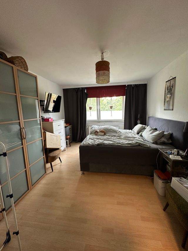 Geräumige 3 ZKB mit Balkon ab dem 01.11.2026 zu vermieten - Foto 3