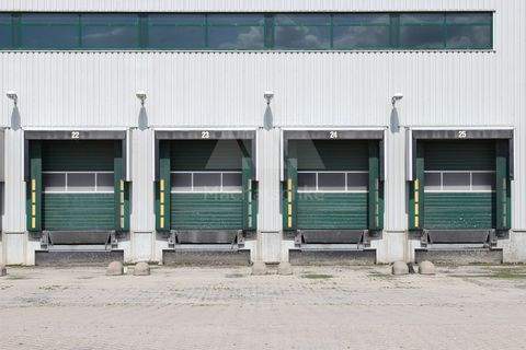 Erlangen Halle, Erlangen Hallenfläche