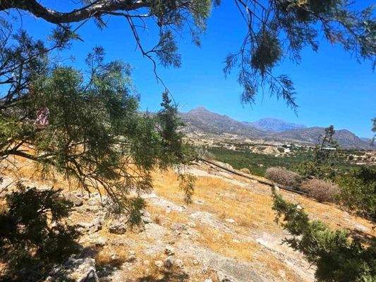 Kreta, Katharades: Sechs Apartments mit Meerblick bei Ierapetra zu verkaufen